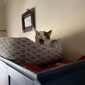 Meet your Posher, Olivia